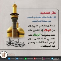 شهادات الأئمة 